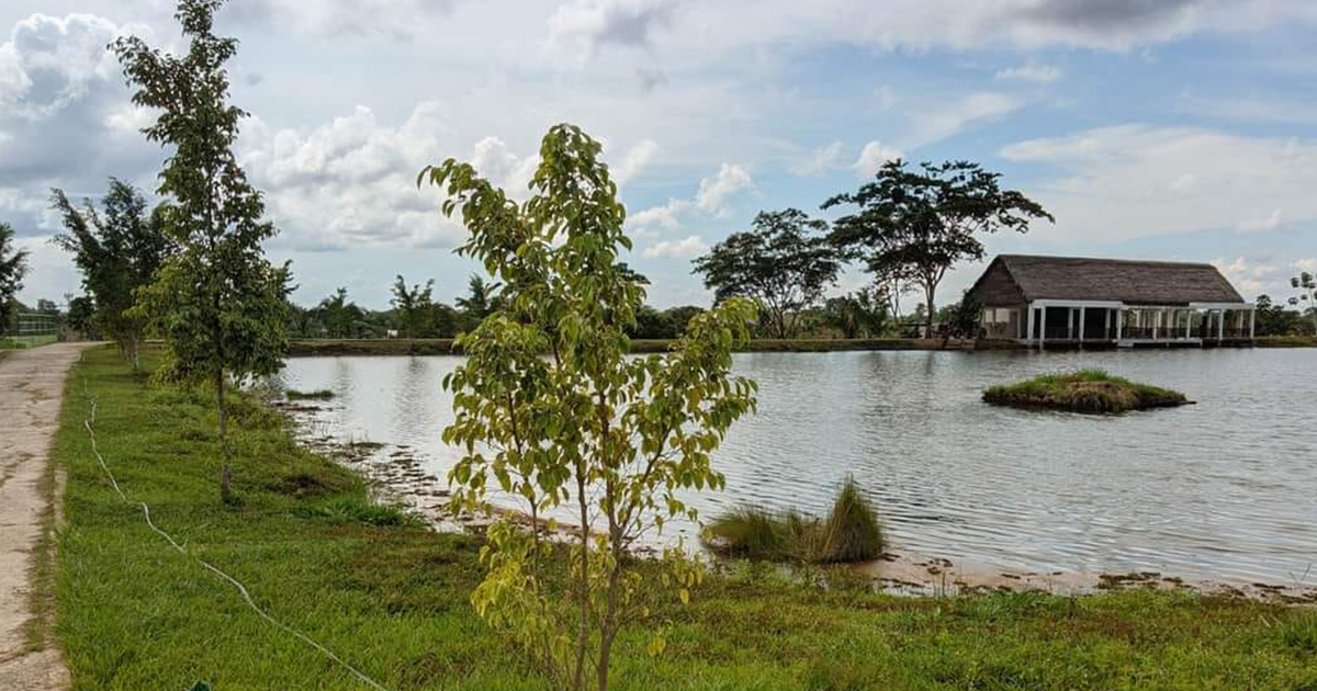 La Laguna de Rurrenabaque (Foto: GAMR)